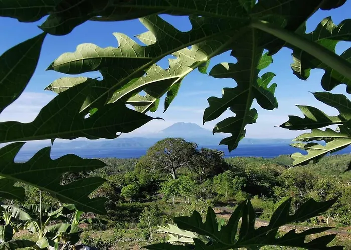 ベッド・アンド・ブレックファスト Eden Private Pool And Panoramic Agung View - Adult Only 4*